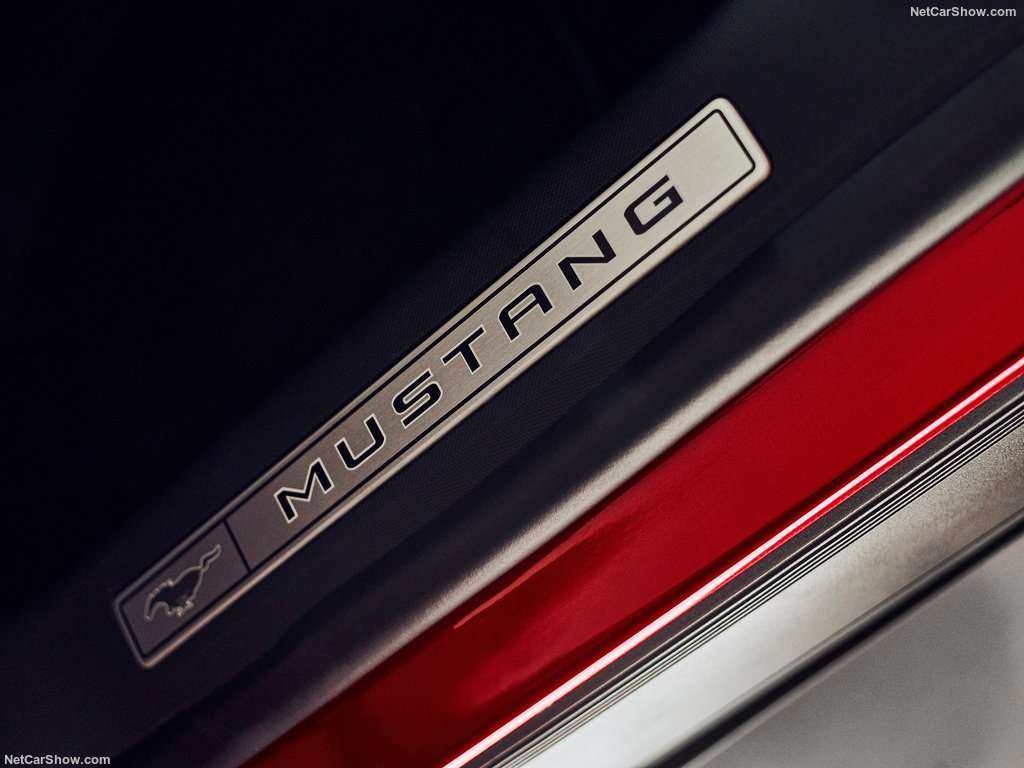 Ford: La svolta di Mustang con la Mach-E 17 Ford Mustang Mach E 2021 1024 2d
