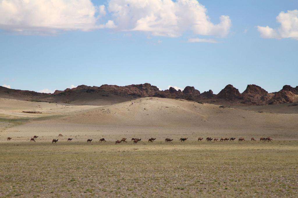 Dall’Italia al Giappone in Panda! Episodio 5: Meravigliosa Mongolia 27 87 mongolia IMG 9426