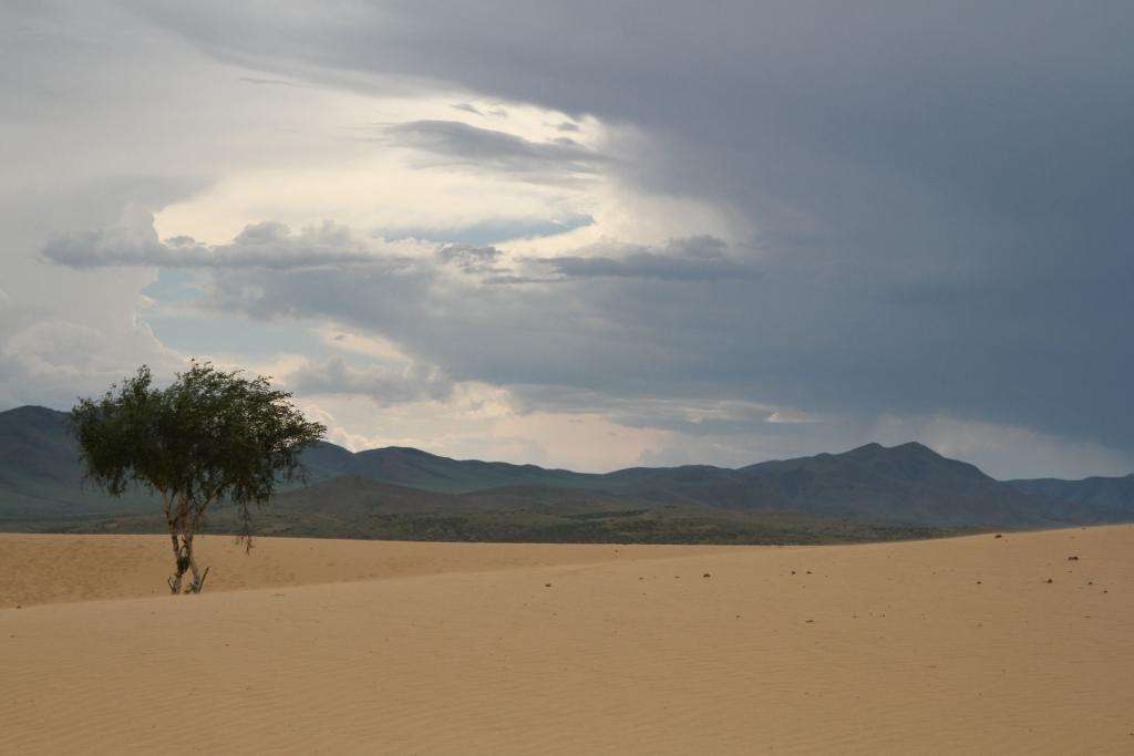 Dall’Italia al Giappone in Panda! Episodio 5: Meravigliosa Mongolia 35 95 mongolia IMG 9686