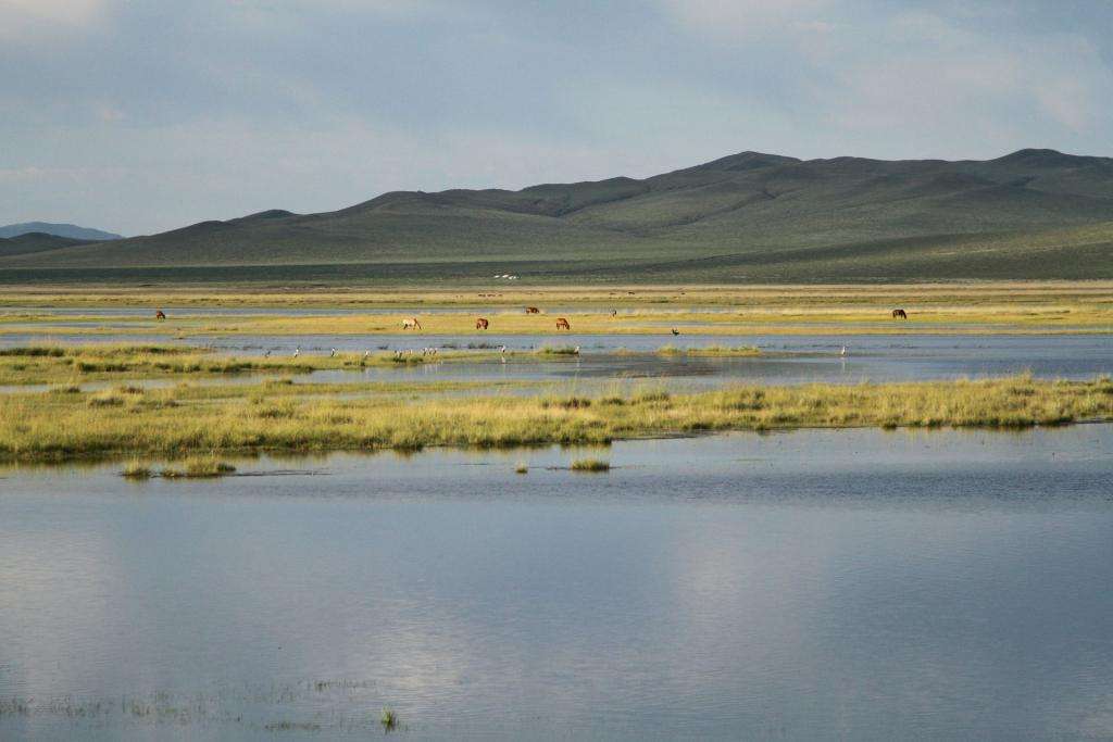 Dall’Italia al Giappone in Panda! Episodio 5: Meravigliosa Mongolia 37 97 mongolia IMG 9736