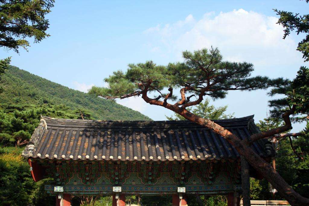 Dall’Italia al Giappone in Panda! Episodio 7: finalmente Oriente! Corea del Sud 10 117 corea del sud IMG 0254