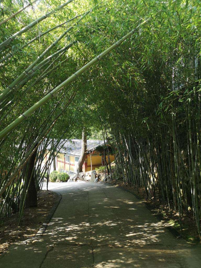 Dall’Italia al Giappone in Panda! Episodio 7: finalmente Oriente! Corea del Sud 17 IMG 20240824 095242