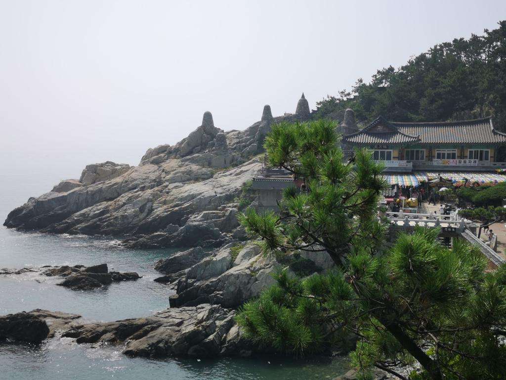 Dall’Italia al Giappone in Panda! Episodio 7: finalmente Oriente! Corea del Sud 20 IMG 20240824 103855 1