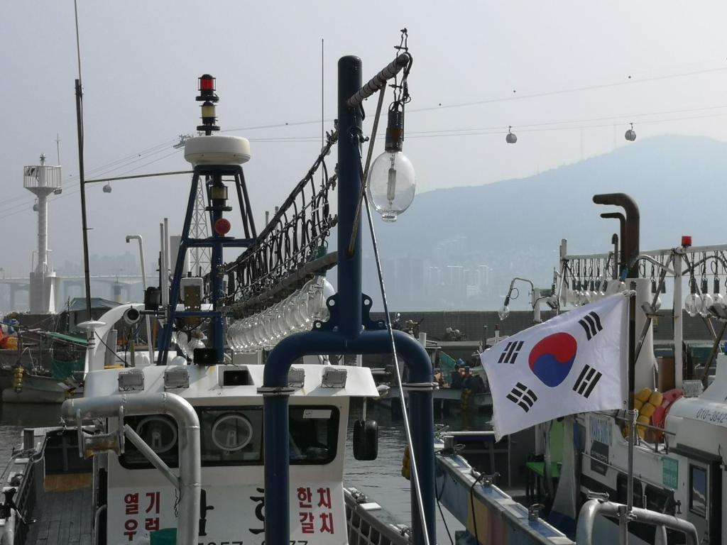 Dall’Italia al Giappone in Panda! Episodio 7: finalmente Oriente! Corea del Sud 24 IMG 20240825 093413 1